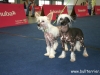 Ingrid und Sid - Tulln 2014