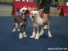 Ingrid und Sid - Tulln 2014