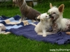 Ingrid und Winja