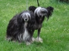 Minnie und Pia