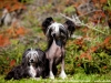 Pia und Minnie