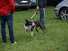 DSC_2268korr