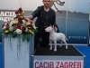 Ufo - CACIB Zagreb 2015