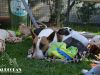O-Welpen (5. Woche ) mit Tante Mathilda